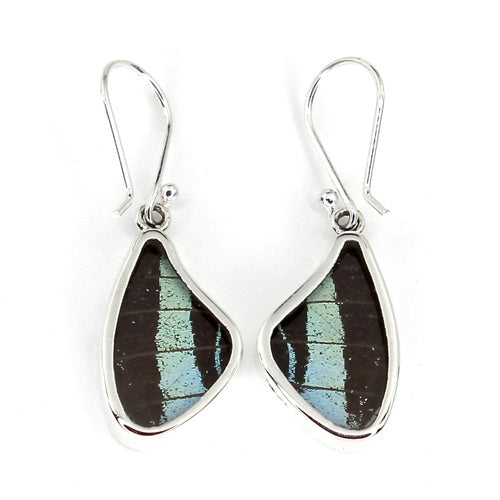 SMALL BUTTERFLY WING URANIA LEILUS SILVER EARRINGS