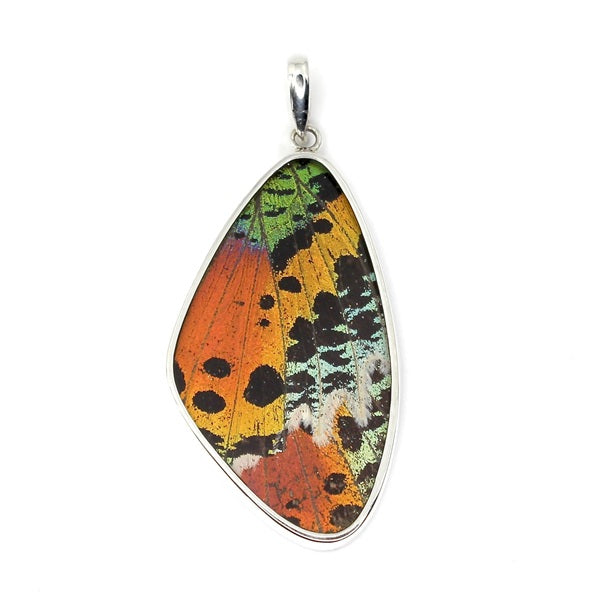 X-LARGE BUTTERFLY WING URANIA RIPHEUS SILVER PENDANT