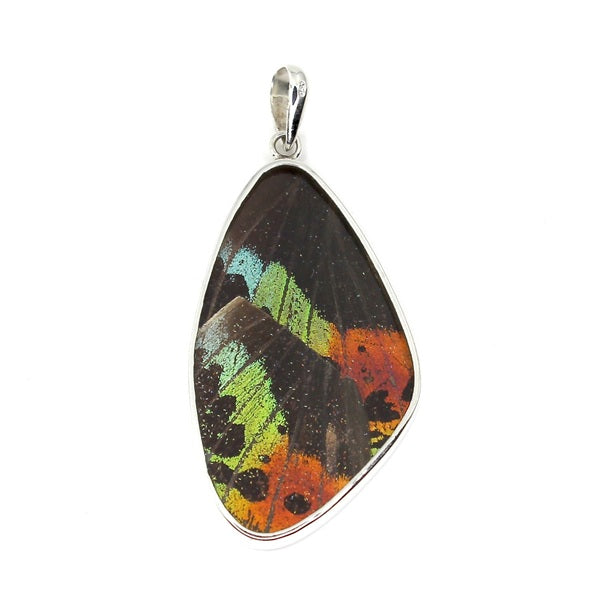 X-LARGE BUTTERFLY WING URANIA RIPHEUS SILVER PENDANT