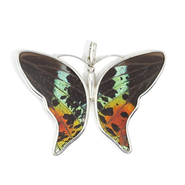 LARGE BUTTERFLY URANIA RIPHEUS SILVER PENDANT