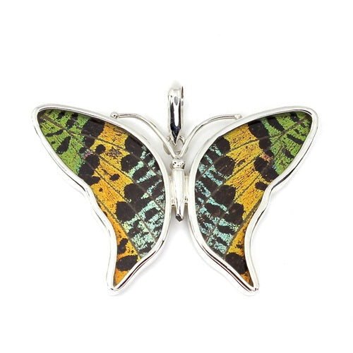 MEDIUM BUTTERFLY URANIA RIPHEUS SILVER PENDANT