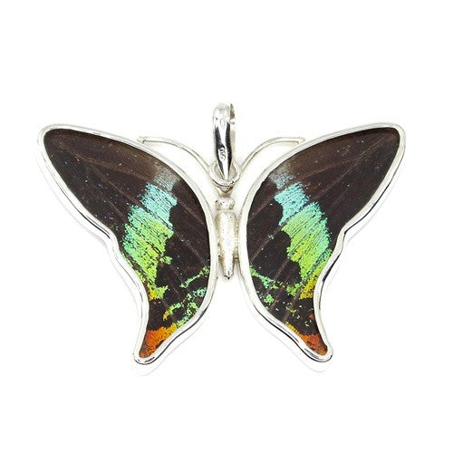 MEDIUM BUTTERFLY URANIA RIPHEUS SILVER PENDANT