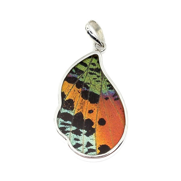 MEDIUM WAVED BUTTERFLY WING URANIA RIPHEUS SILVER PENDANT