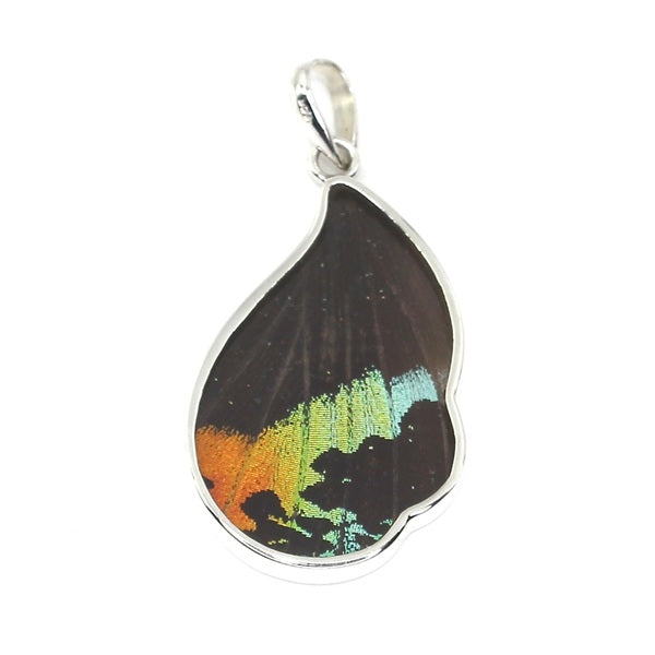 MEDIUM WAVED BUTTERFLY WING URANIA RIPHEUS SILVER PENDANT