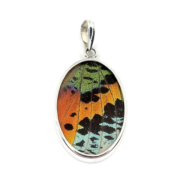 MEDIUM OVAL BUTTERFLY WING URANIA RIPHEUS SILVER PENDANT
