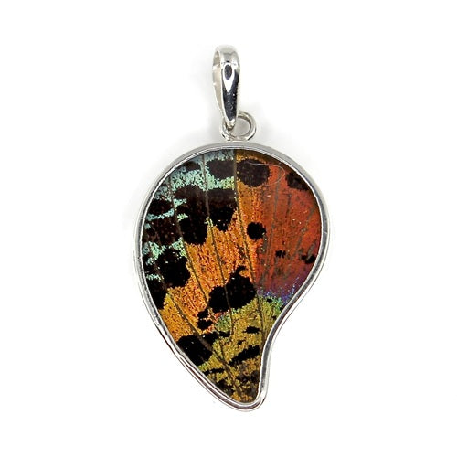 MEDIUM POINTED BUTTERFLY WING URANIA RIPHEUS SILVER PENDANT