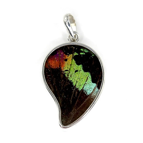 MEDIUM POINTED BUTTERFLY WING URANIA RIPHEUS SILVER PENDANT