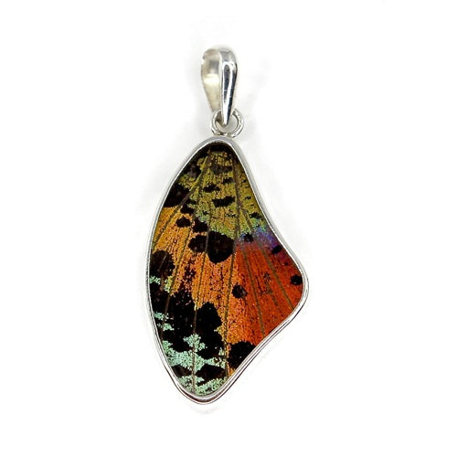 MEDIUM BUTTERFLY WING URANIA RIPHEUS SILVER PENDANT