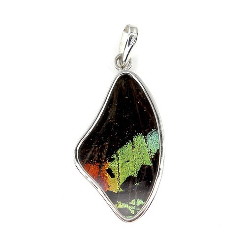 MEDIUM BUTTERFLY WING URANIA RIPHEUS SILVER PENDANT