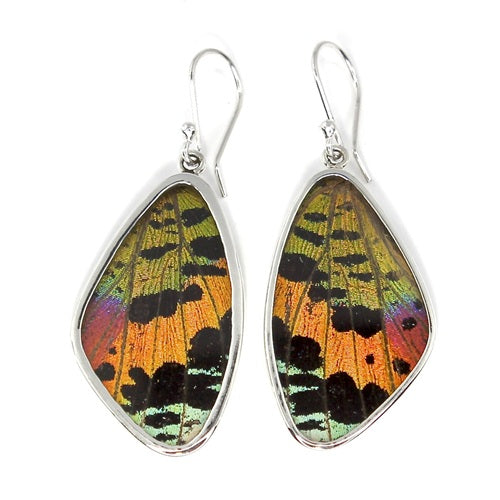 XL BUTTERFLY WING URANIA RIPHEUS SILVER EARRINGS
