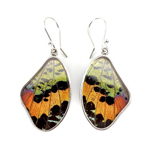 MEDIUM BUTTERFLY WING URANIA RIPHEUS SILVER EARRINGS