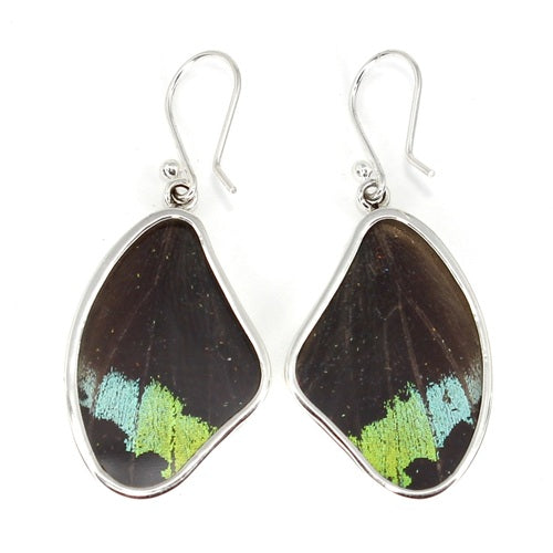 MEDIUM BUTTERFLY WING URANIA RIPHEUS SILVER EARRINGS