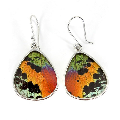 LARGE DITA BUTTERFLY WING URANIA RIPHEUS SILVER EARRINGS