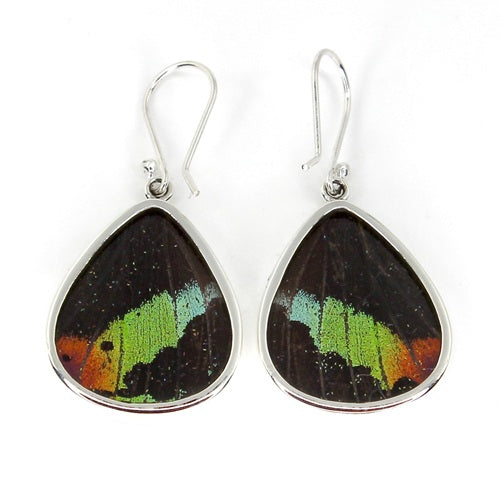 LARGE DITA BUTTERFLY WING URANIA RIPHEUS SILVER EARRINGS