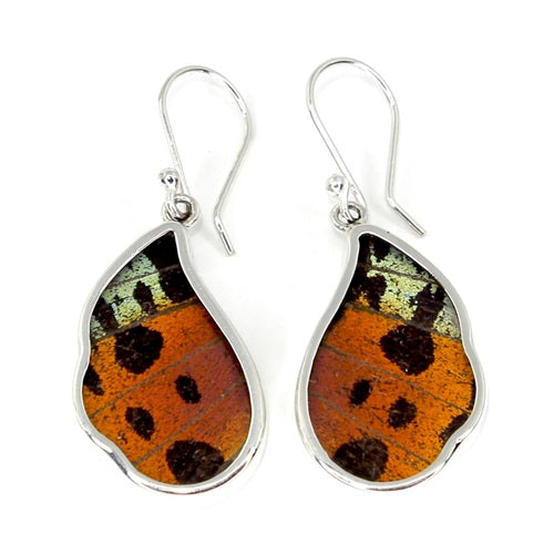MEDIUM WAVED BUTTERFLY WING URANIA RIPHEUS SILVER DROP EARRINGS