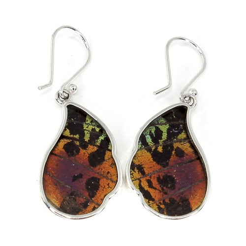 MEDIUM WAVED BUTTERFLY WING URANIA RIPHEUS SILVER DROP EARRINGS