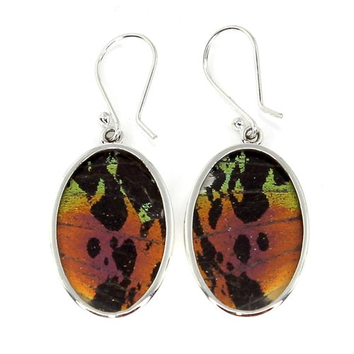MEDIUM OVAL BUTTERFLY WING URANIA RIPHEUS SILVER EARRINGS
