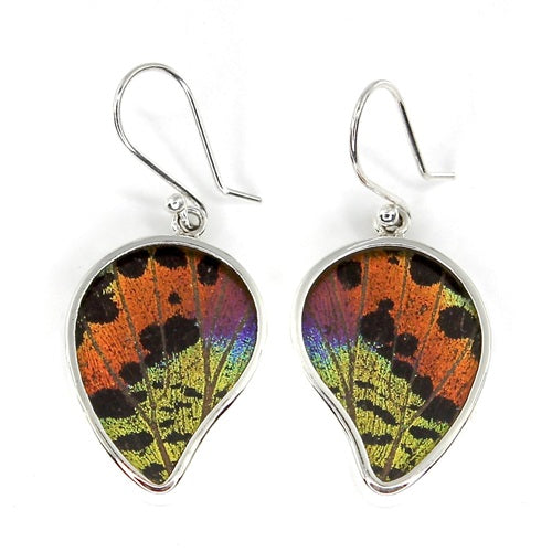 MEDIUM POINTED BUTTERFLY WING URANIA RIPHEUS SILVER EARRINGS