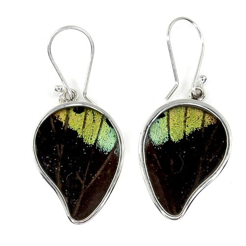 MEDIUM POINTED BUTTERFLY WING URANIA RIPHEUS SILVER EARRINGS