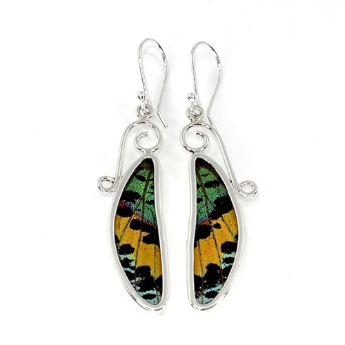 MEDIUM DRAGONFLY WING URANIA RIPHEUS SILVER EARRINGS