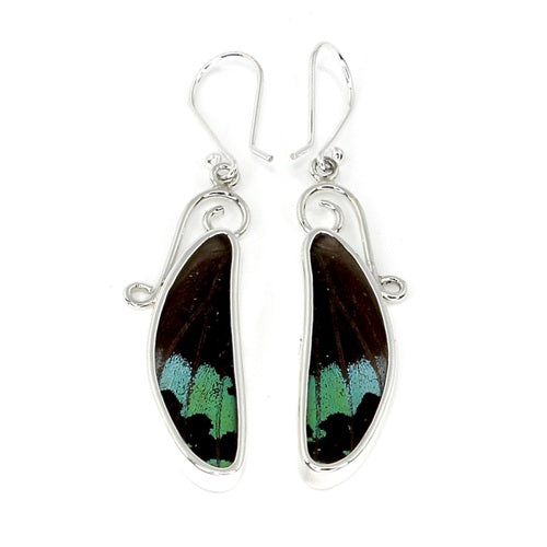 MEDIUM DRAGONFLY WING URANIA RIPHEUS SILVER EARRINGS