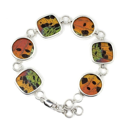 BUTTERFLY WING URANIA RIPHEUS SILVER BRACELET