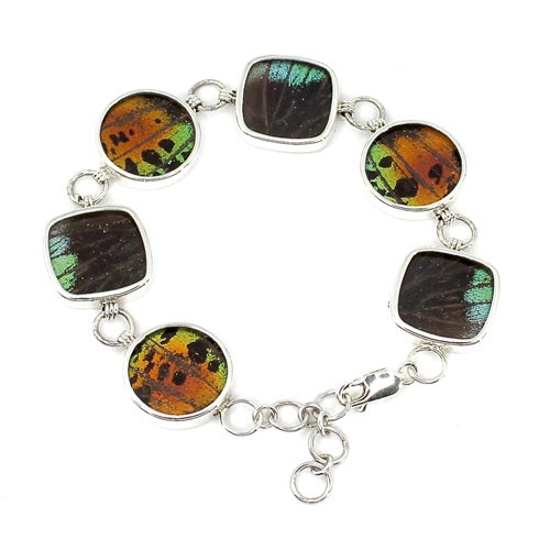 BUTTERFLY WING URANIA RIPHEUS SILVER BRACELET