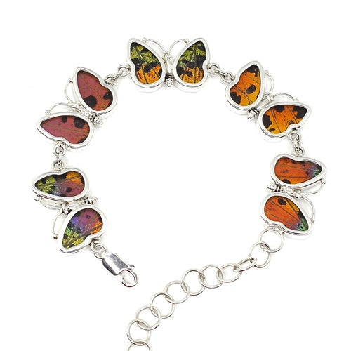 5 X BUTTERFLY WING URANIA RIPHEUS SILVER BRACELET