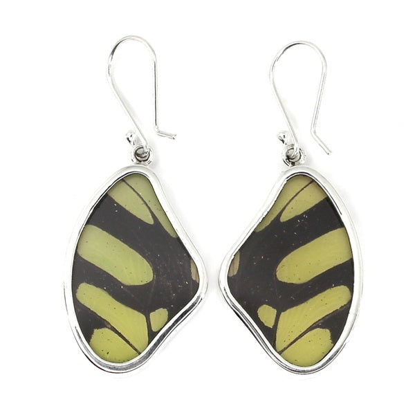 MEDIUM BUTTERFLY WING STELENES SILVER EARRINGS