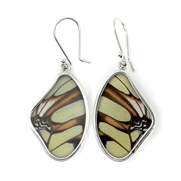 LARGE BUTTERFLY WING STELENES SILVER EARRINGS