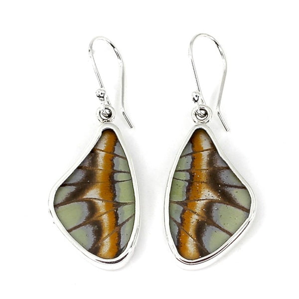 MEDIUM BUTTERFLY WING STELENES SILVER EARRINGS