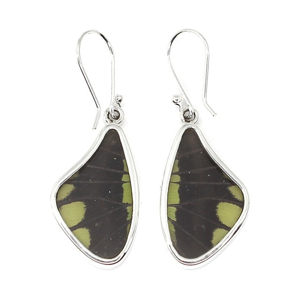 MEDIUM BUTTERFLY WING STELENES SILVER EARRINGS