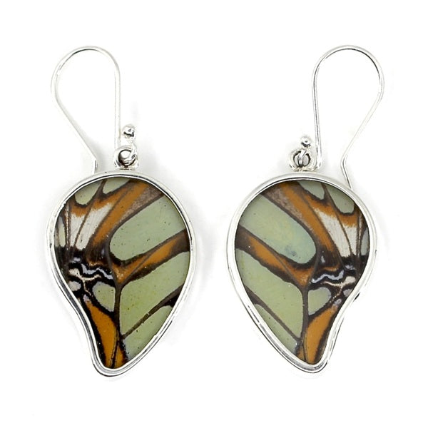 MEDIUM POINTED BUTTERFLY WING STELENES SILVER EARRINGS