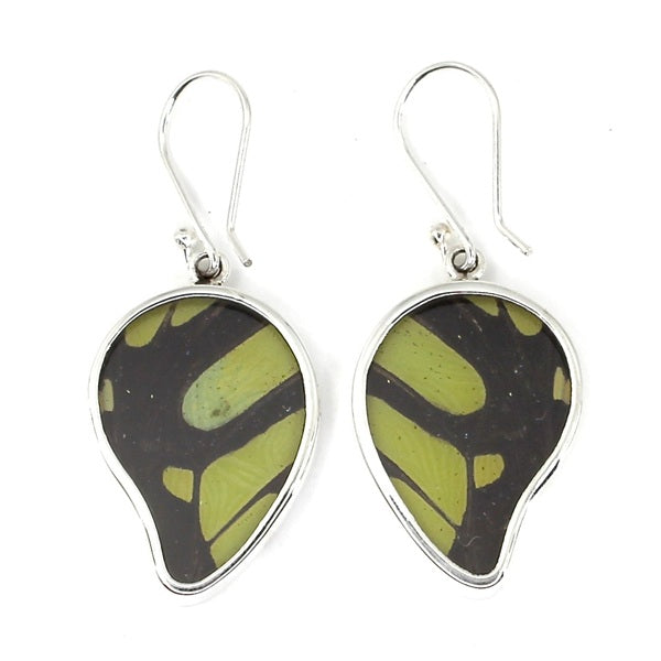 MEDIUM POINTED BUTTERFLY WING STELENES SILVER EARRINGS
