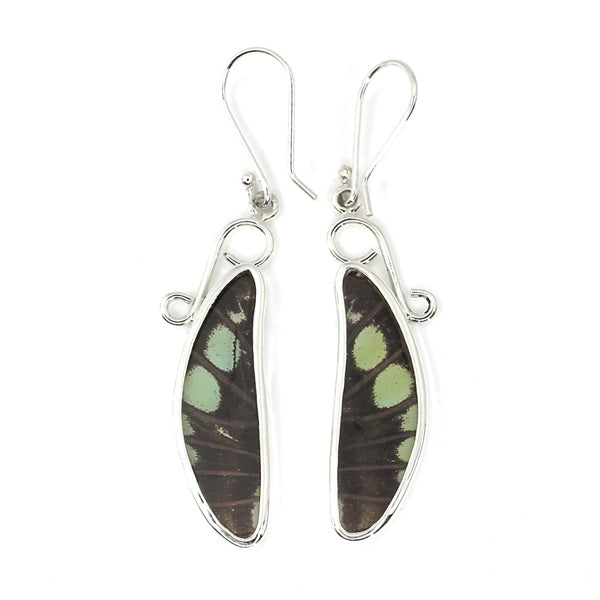 MEDIUM DRAGONFLY WING STELENES SILVER EARRINGS